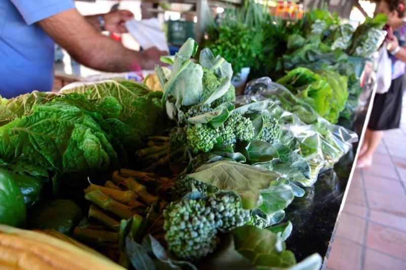 Abertas as inscrições para o Programa de Aquisição de Alimentos