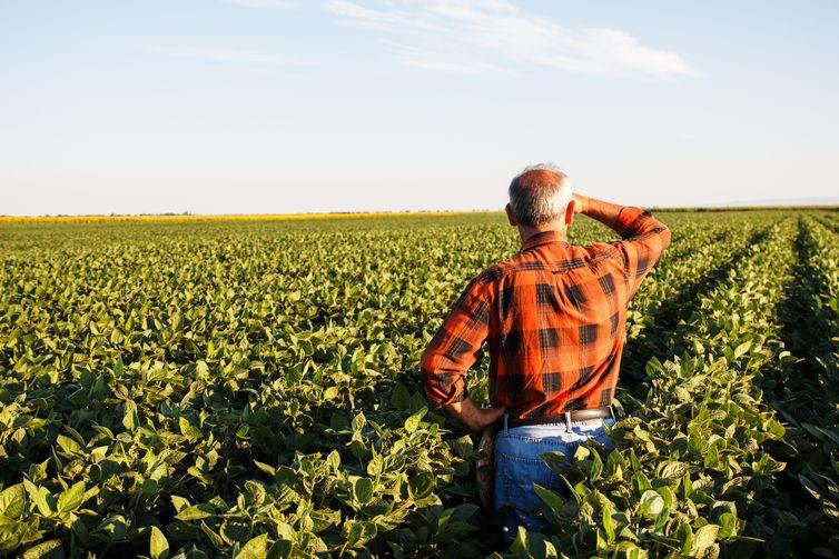 Produtores têm até segunda para aderir ao Refis Rural