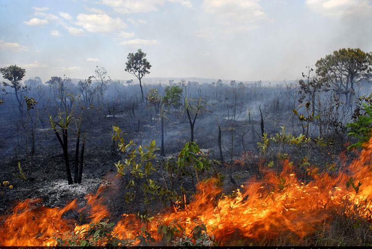 Senado pretende instalar comissão mista para debater sobre mudanças climáticas