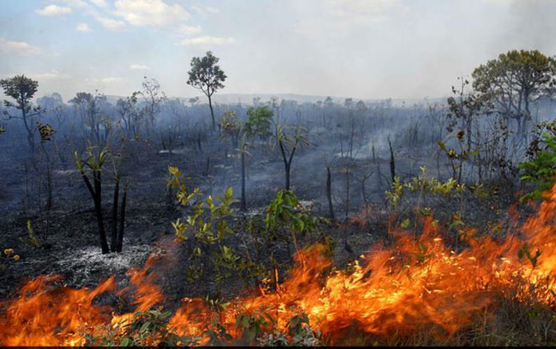 Brasil tem 22,38 milhões de hectares atingidos pelo fogo em nove meses