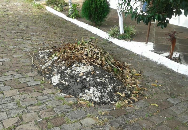 Moradores reclamam de entulho em rua santa-cruzense