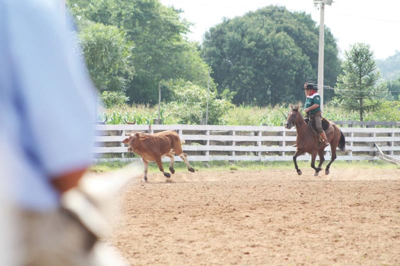 Rodeio para perpetuar tradição