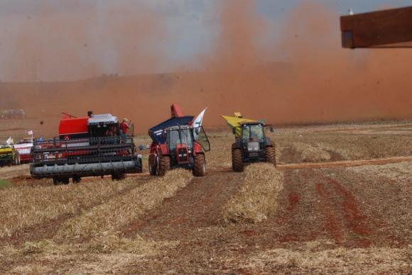 IBGE diz que safra de 2018 será 5,6% menor que a de 2017