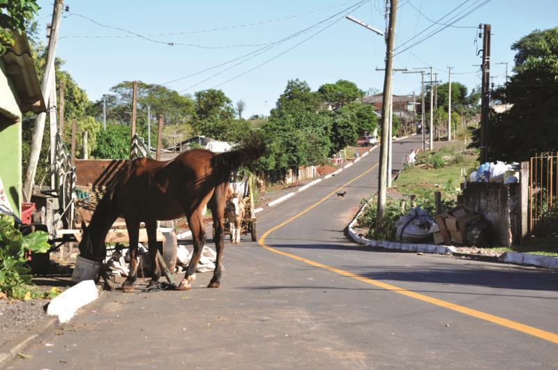 O desenvolvimento que exige atenção