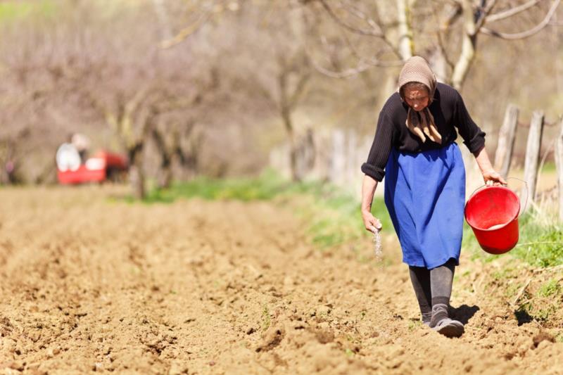 Rio Grande do Sul adere à campanha pelos direitos das mulheres do campo