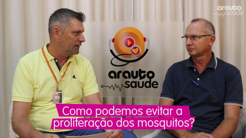 Como evitar a proliferação dos mosquitos