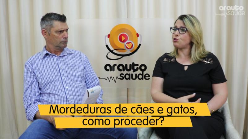 Como proceder com mordeduras de cães e machucaduras gatos?