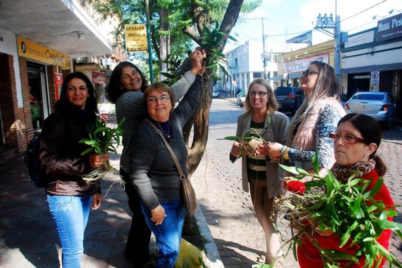 Grupo de mulheres planta orquídeas pelas ruas de Rio Pardo