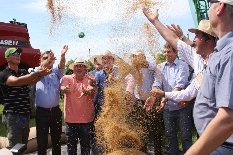 Aberta oficialmente a colheita de arroz no Rio Grande do Sul