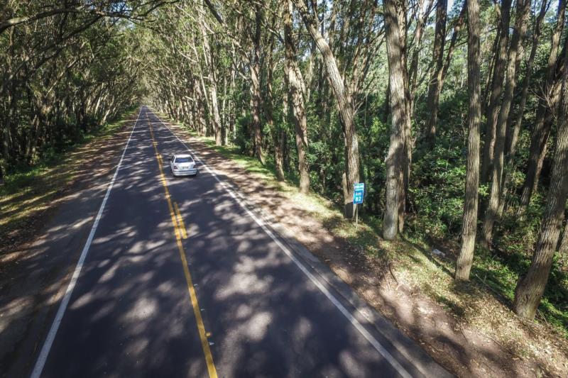 EGR terá 29 frentes de trabalho mobilizadas nesta semana