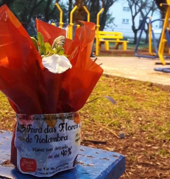 APAE distribui flores em convite para a Feira de Holambra