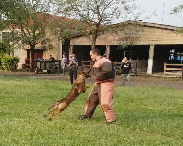 Brigada Militar participa de Encontro Internacional de Condutores de Cães