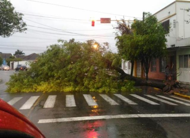 Defesa Civil divulga boletim de prejuízos do temporal deste domingo