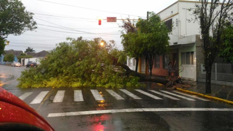 Santa Cruz decreta situação de emergência