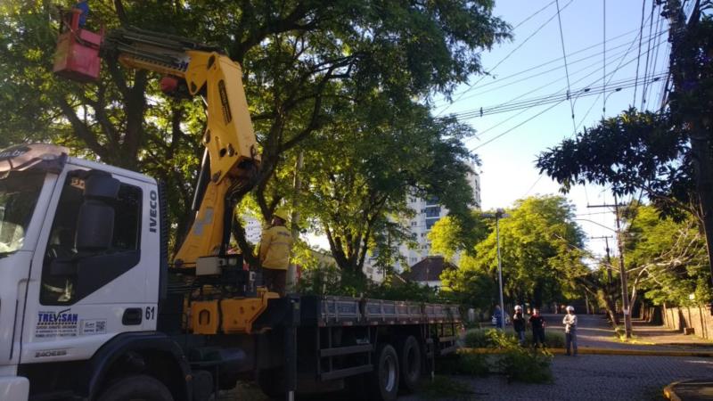 Prefeitura realiza corte de galhos das tipuanas na Marechal Floriano