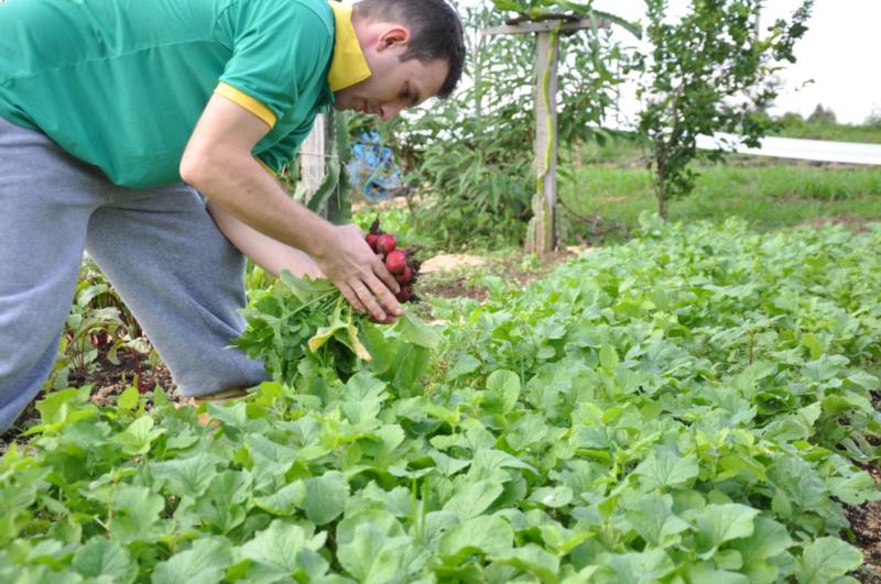 Festividades atraem o público no dia do Trabalho em Vera Cruz