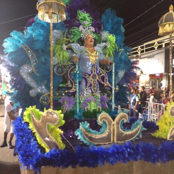 Fotos: História e temas do cotidiano marcam desfile das escolas de samba em Venâncio