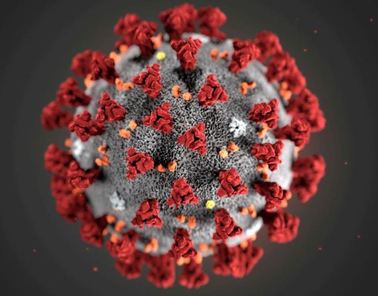 Santa Cruz tem o primeiro caso da variante ômicron