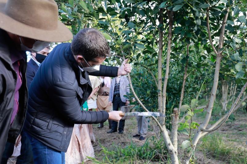 2ª edição da Festa da Colheita da Erva-Mate ocorrerá durante a 16ª Fenachim