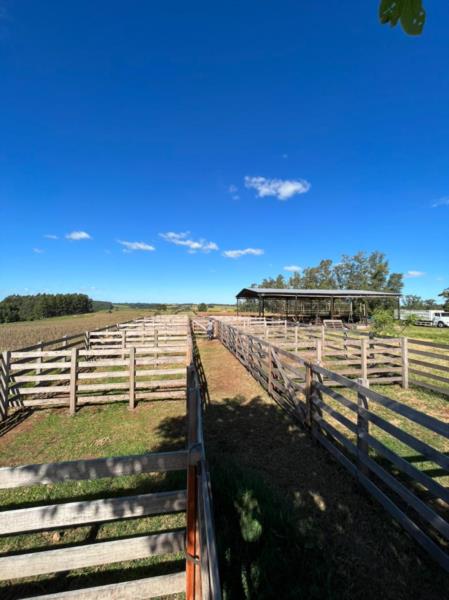 Campeiro Negócios Rurais inaugura parque de remate de gado em Santa Cruz do Sul