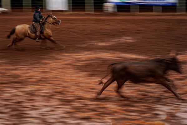 Deputado defende o fim dos rodeios no Rio Grande do Sul