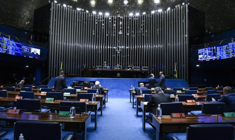 Senado aprova legislação para cães de apoio emocional