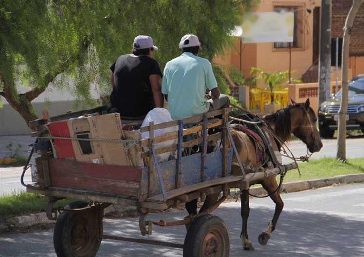 Vereador ingressa com substitutivo ao projeto que proíbe uso de carroças nos bairros de Santa Cruz