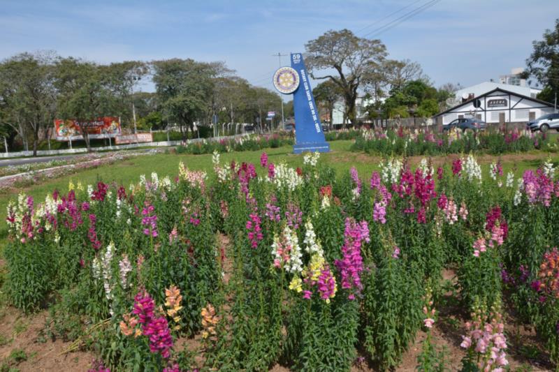 Canteiros de Santa Cruz recebem manutenção e plantio de flores