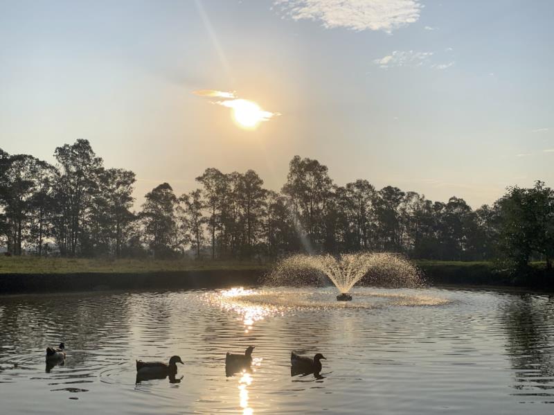 Paisagens e sossego atraem  para o turismo rural na região