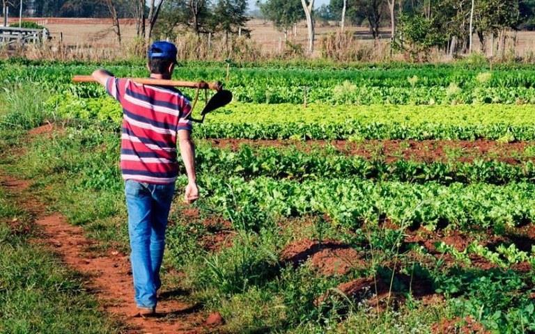 Governo prorroga prazo para cadastro na Agricultura Familiar