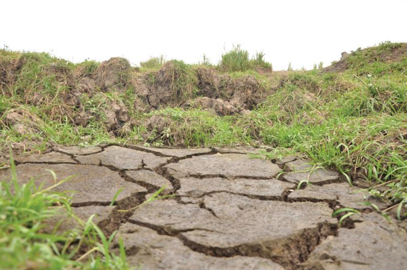 Ministros vão conferir prejuízos causados pela seca no Rio Grande do Sul