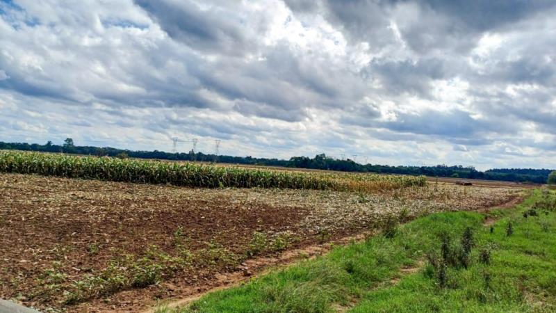 Cerca de 390 famílias tiveram a produção agrícola impactada por eventos climáticos em Venâncio Aires