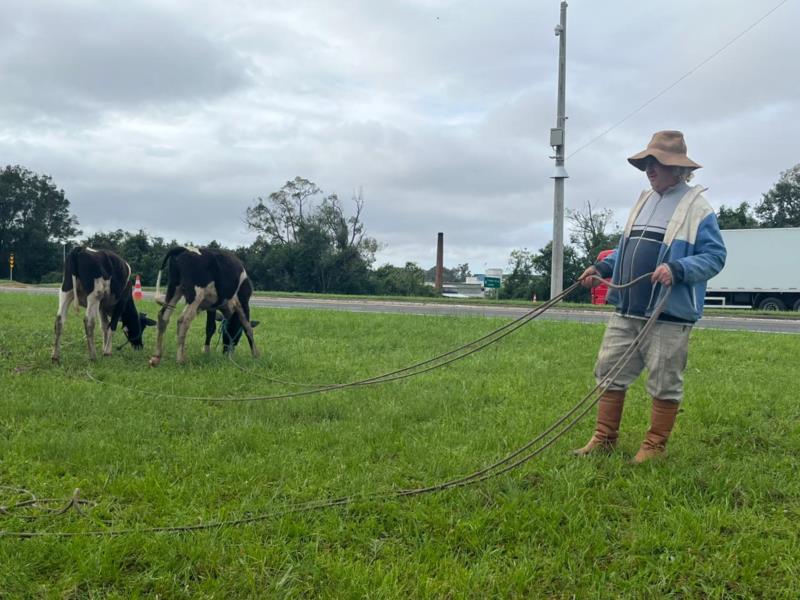 “Quando percebemos a água subindo foi correr para tirar os animais da rua e levantar móveis”, relata morador