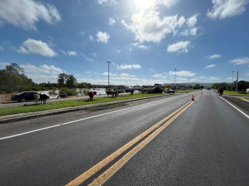 Rota de Santa Maria realiza nova inspeção e libera tráfego da ponte de Mariante