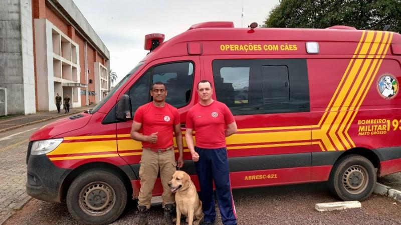 Morre cão que ajudava nas buscas aos desaparecidos após enchentes na região