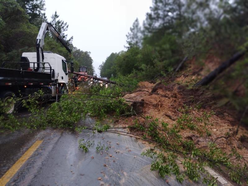 Barranco desmorona e árvore cai sobre pista na BR-290