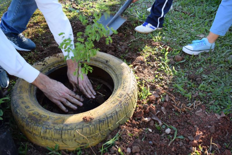 Assembleia aprova Projeto de Lei que prevê Planos Municipais de Arborização Urbana