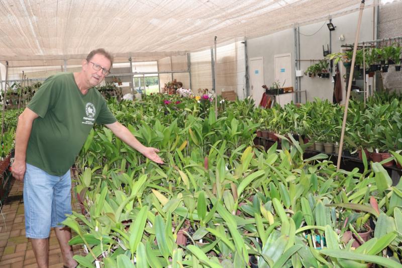 Mato Leitão sediará primeira edição da Mostra Regional de Orquídeas