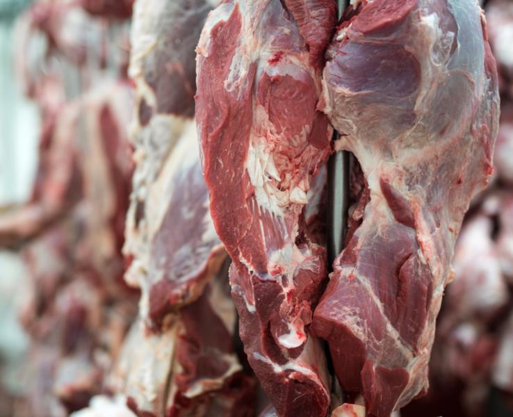 Outros quatro países retiram embargo à carne brasileira