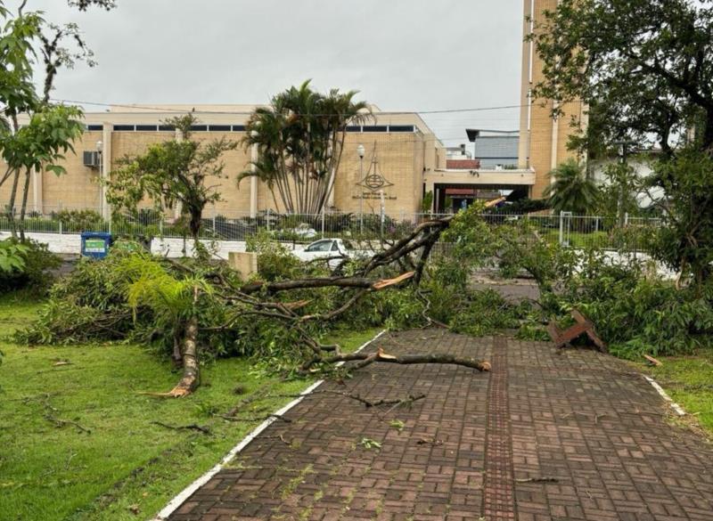 Vereador propõe criação de labirinto verde na Praça Evangélica de Venâncio Aires