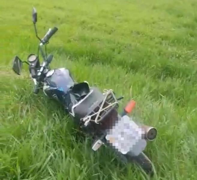 Capivara morre após ser atropelada por motociclista na BR-471