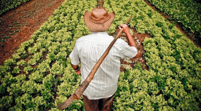 Primeira etapa de programa irá repassar até R$ 18,6 mil a produtores rurais de Venâncio