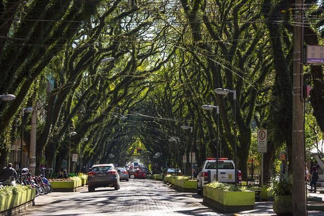 Santa Cruz decreta lockdown para o final de semana