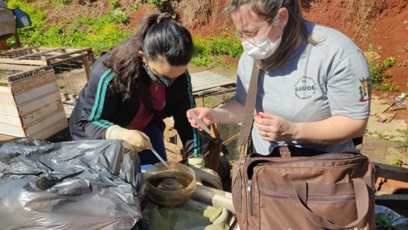 Equipes intensificam vistorias contra focos do mosquito da Dengue em Mato Leitão