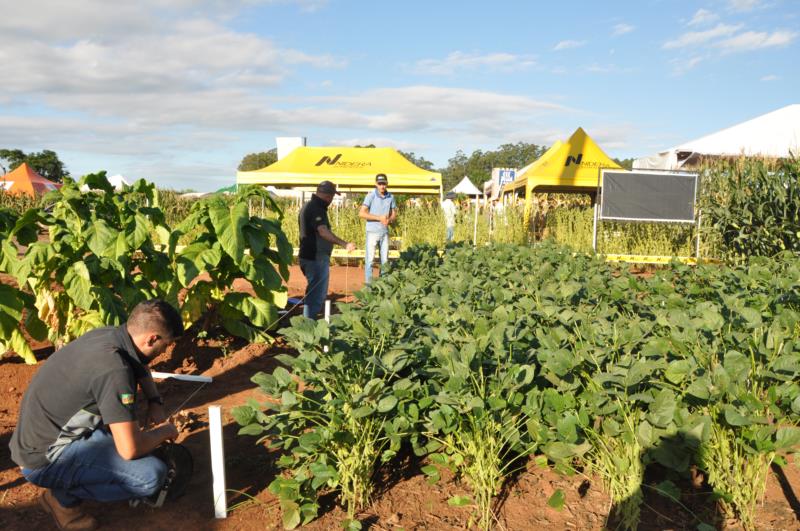 Expoagro Afubra inicia nesta quarta; veja programação