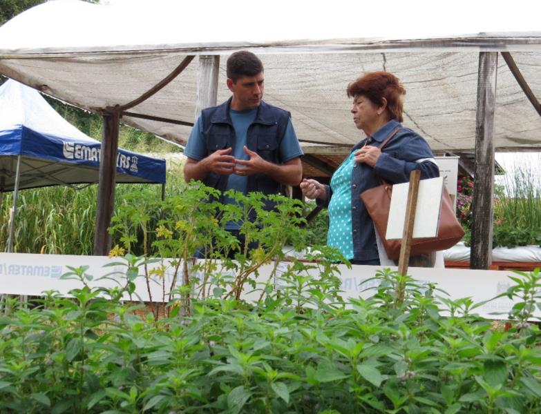 Plantas Bioativas são novidades no Espaço Casa da Emater