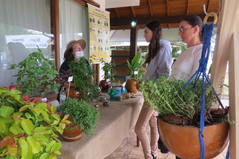 Plantas medicinais, aromáticas e condimentares: do cultivo ao aproveitamento