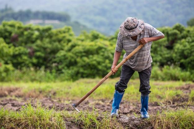 Alto custo de produção preocupa agricultores gaúchos