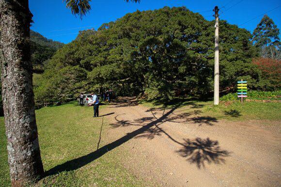 Projeto de incentivo ao cicloturismo terá oito rotas pelo interior de Venâncio Aires