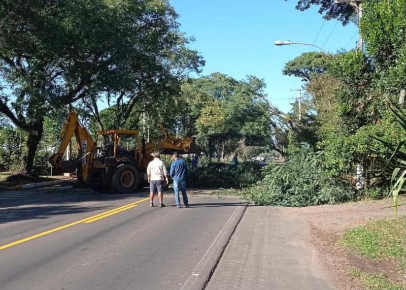 Cortes de dez tipuanas interrompem trânsito em Venâncio Aires